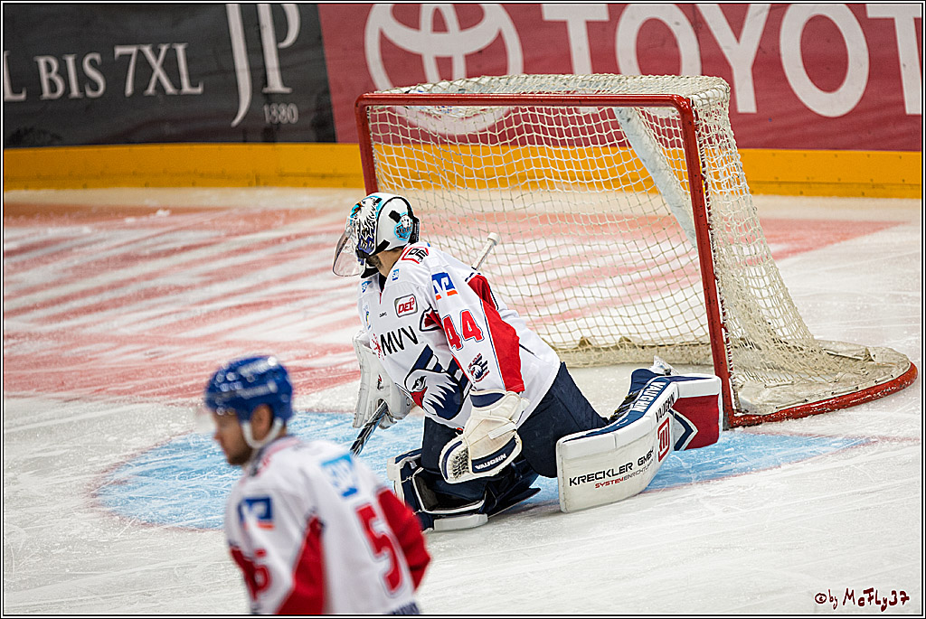 Koelner Haie - Adler Mannheim, 30.10.2016